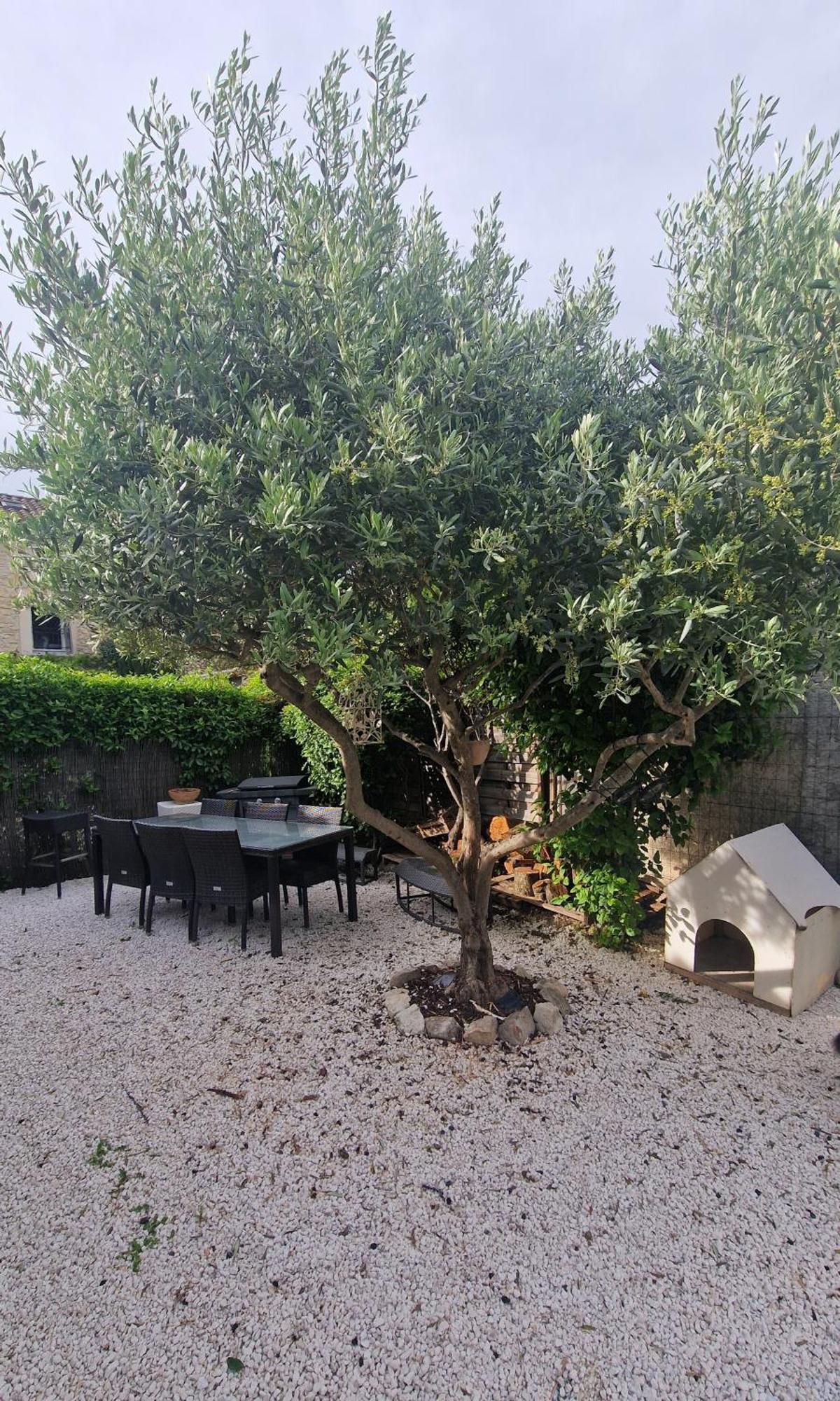 Parenthese Caumontoise . Appartement Buitenkant foto